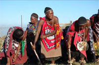 Married Women preform the Lutsango Dance (click to Enlarge)